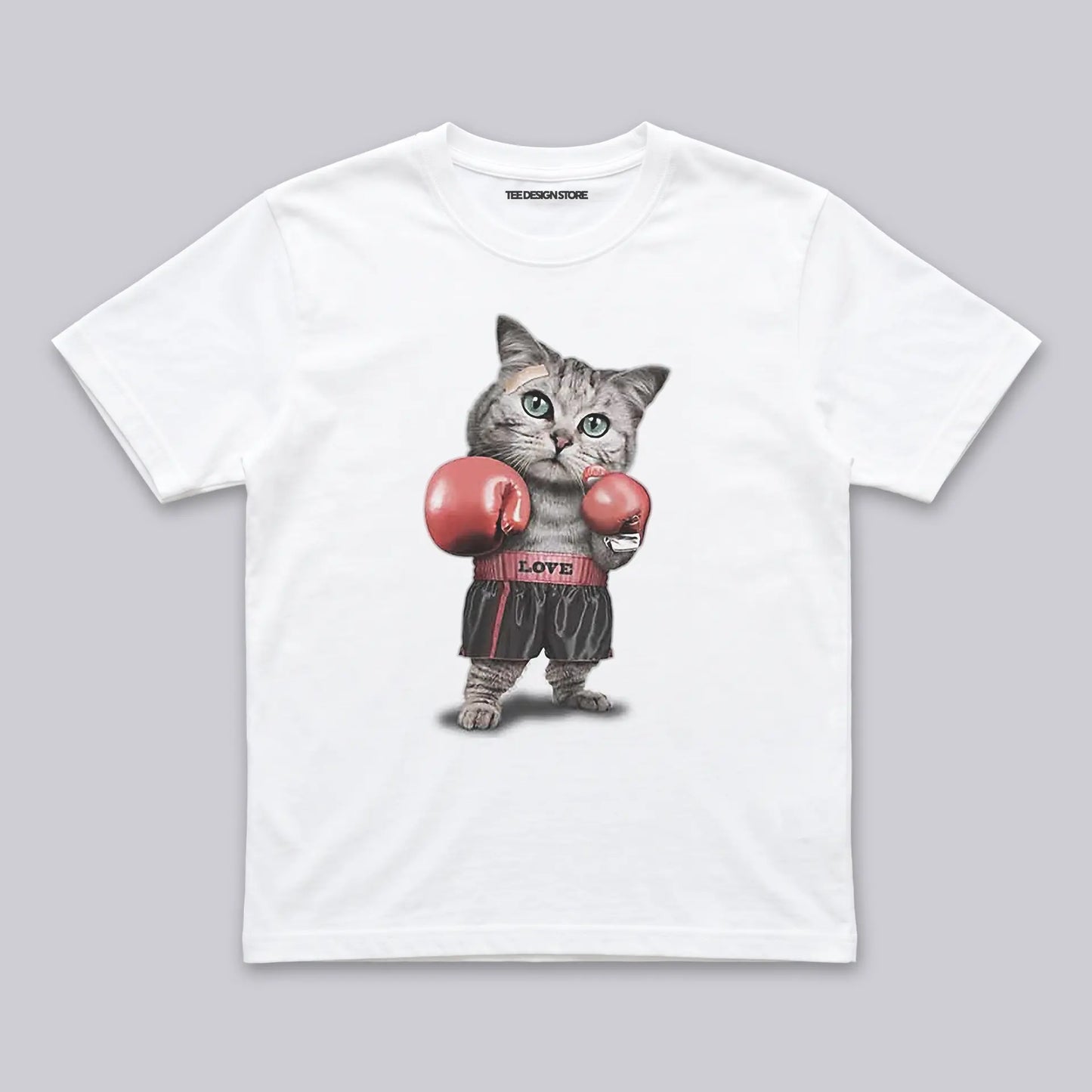 Boxing cat